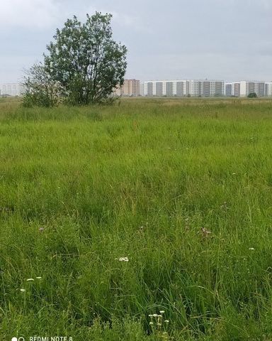 Савинское сельское поселение, Великий Новгород фото