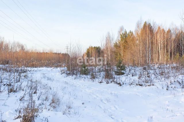 микрорайон Защитино, городской округ Тобольск фото