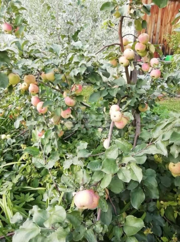 дом г Нижний Тагил ул Красная Горноуральский городской округ фото 13