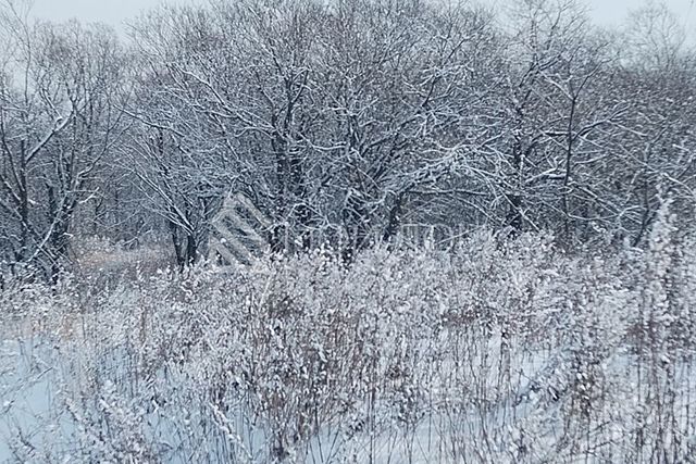 городской округ Южно-Сахалинск, СДТ Ласточка фото