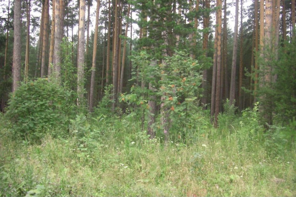 земля г Ревда с Кунгурка ул Хрустальная городской округ Ревда фото 2