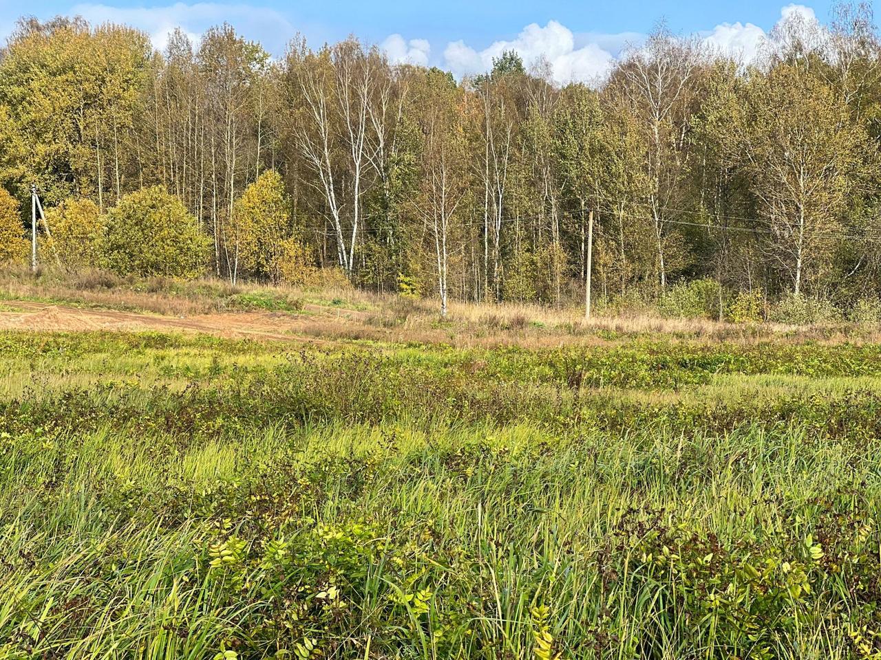 земля городской округ Истра п Глебовский Карцево, городской округ Истра фото 6