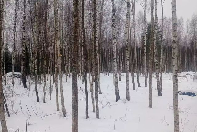 земля Вересковая улица, 115 фото