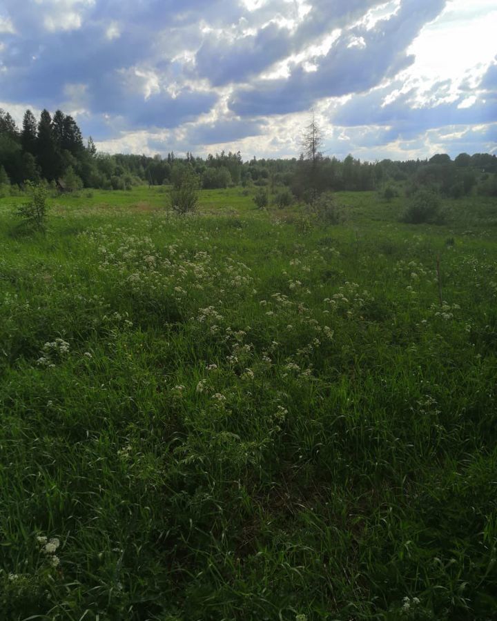земля р-н Тосненский д Нурма Нурминское сельское поселение, садоводческий массив Полевой фото 1
