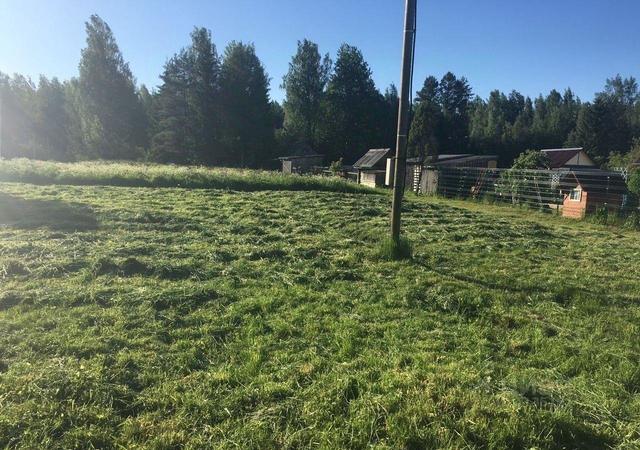 п Будогощь ул Школьная Будогощское городское поселение фото