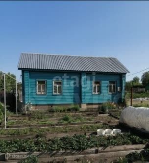 дом село Прогресс фото