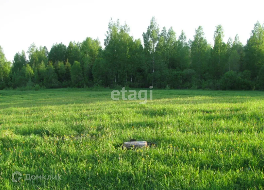 земля г Нижний Новгород городской округ Нижний Новгород, Центральная линия фото 3