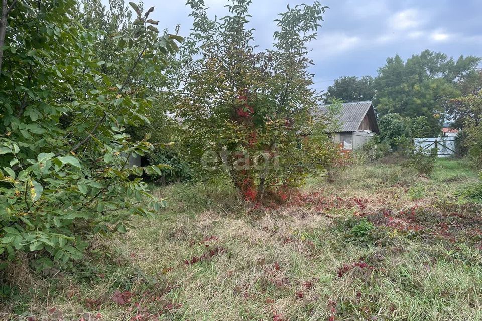 земля г Назрань городской округ Назрань, Насыр-Кортский административный округ фото 3