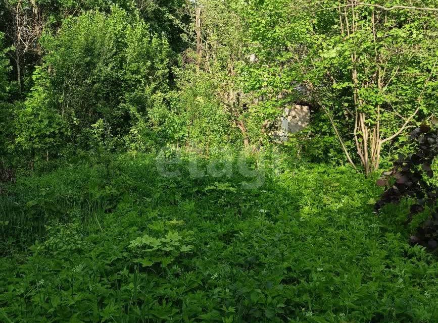 земля г Ульяновск снт Лесовод 2-я линия, городской округ Ульяновск фото 1