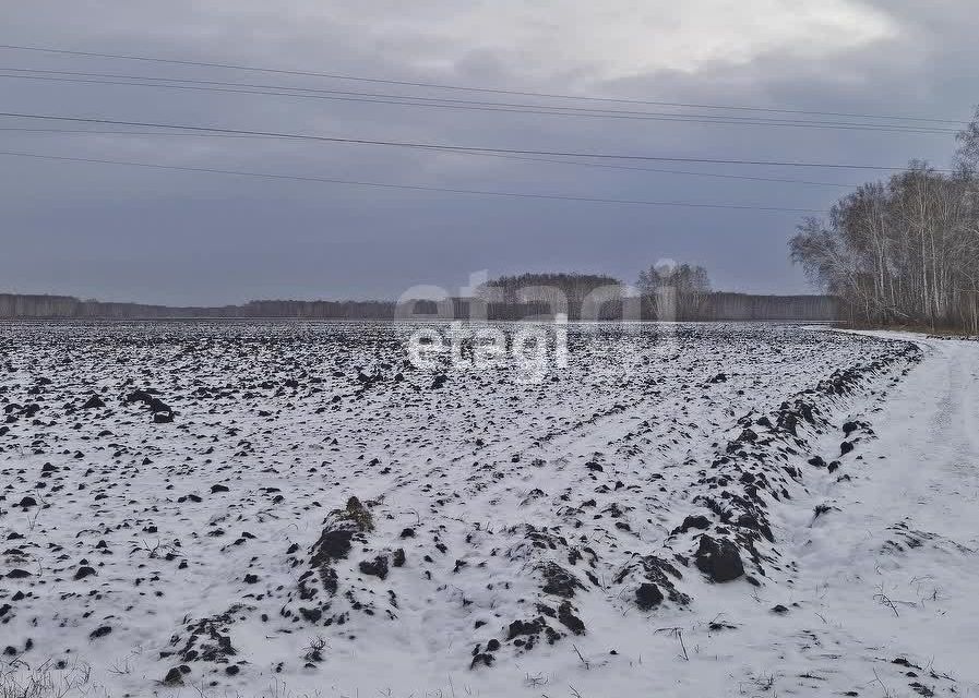 земля г Омск городской округ Омск, территория СОСН Заря-3 фото 7