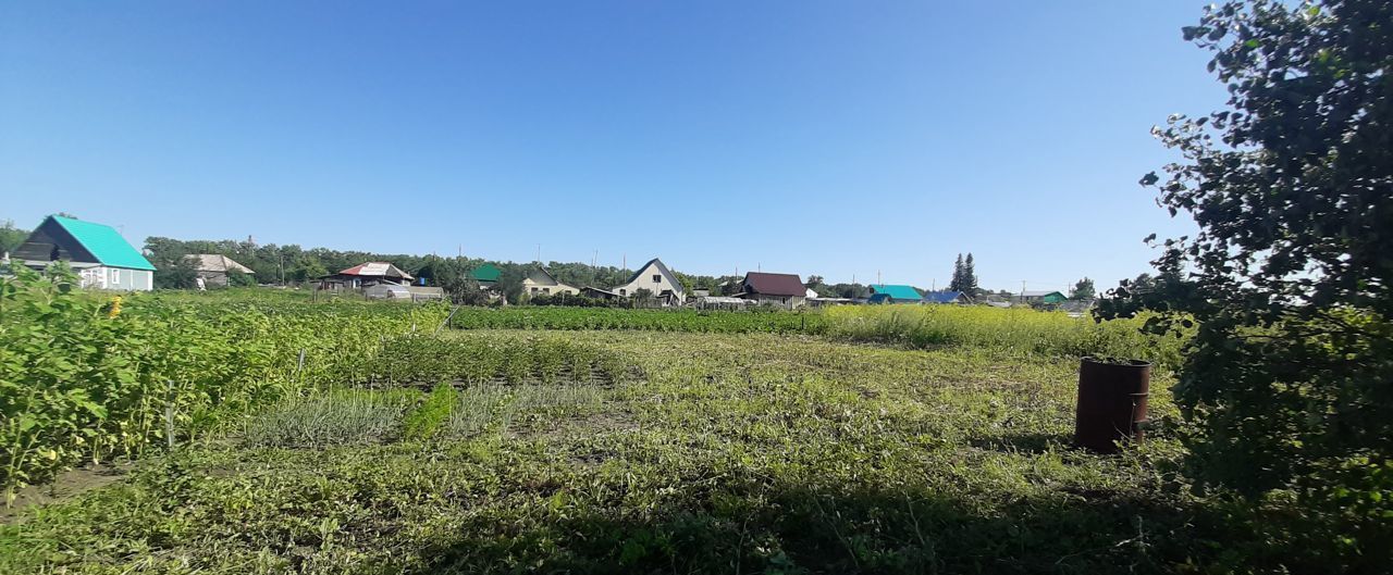 дом г Барнаул п Ягодное ул Центральная с Лебяжье фото 4