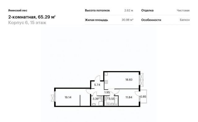 6 Заневское городское поселение, Проспект Большевиков фото