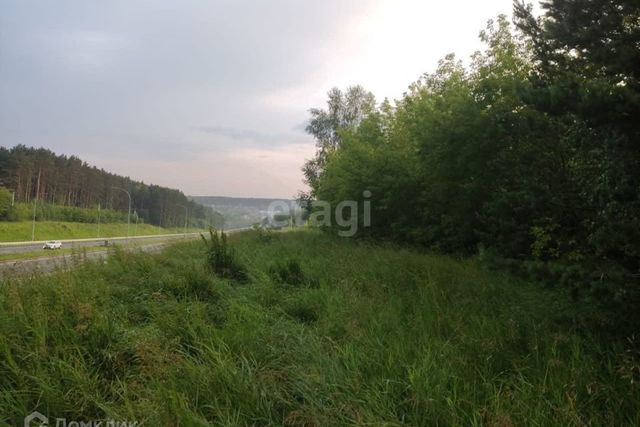 СНТ Учитель, Кемеровский городской округ фото