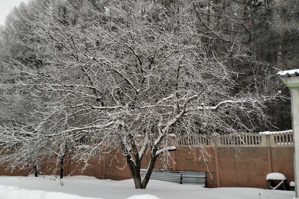 дом г Пенза ул Островского городской округ Пенза фото 4