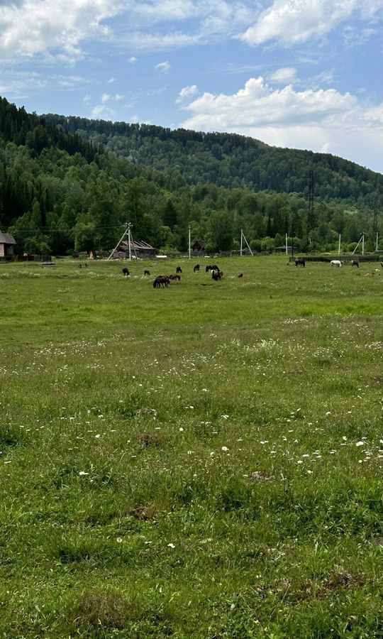 земля р-н Чойский с Паспаул ул Трактовая Горно-Алтайск фото 6