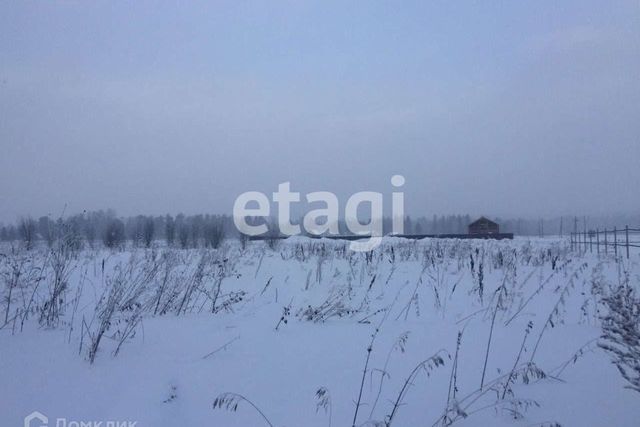 городской округ Красноярск, садоводческое некоммерческое товарищество Золотая Осень фото