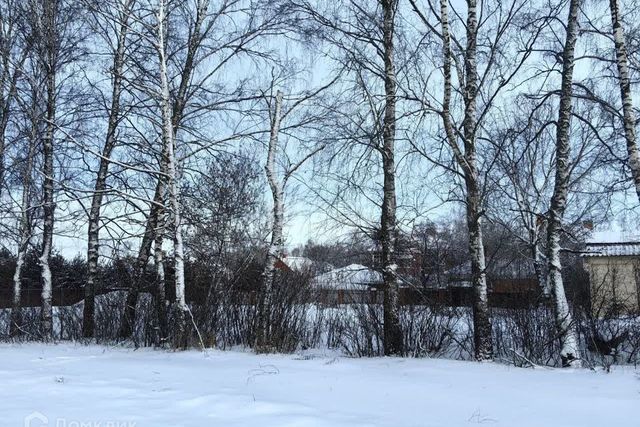 городской округ Саранск, Октябрьский район фото