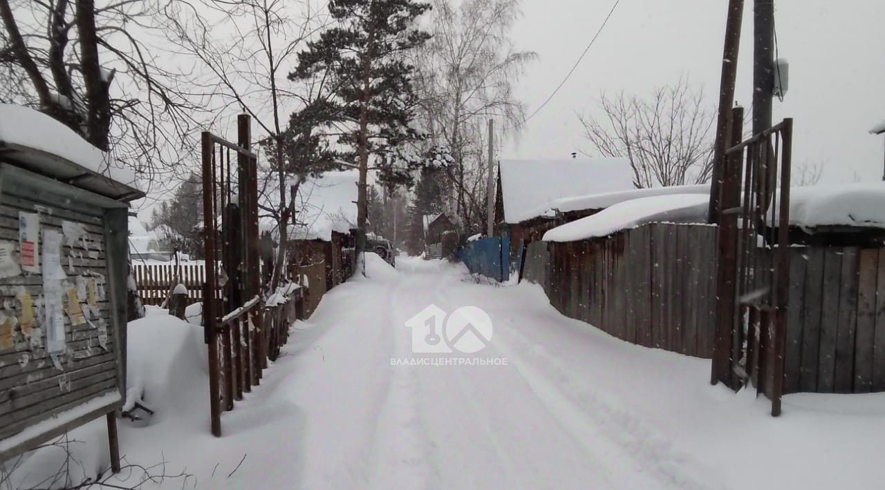 земля г Новосибирск Берёзовая роща снт Березовая Роща 459 фото 1