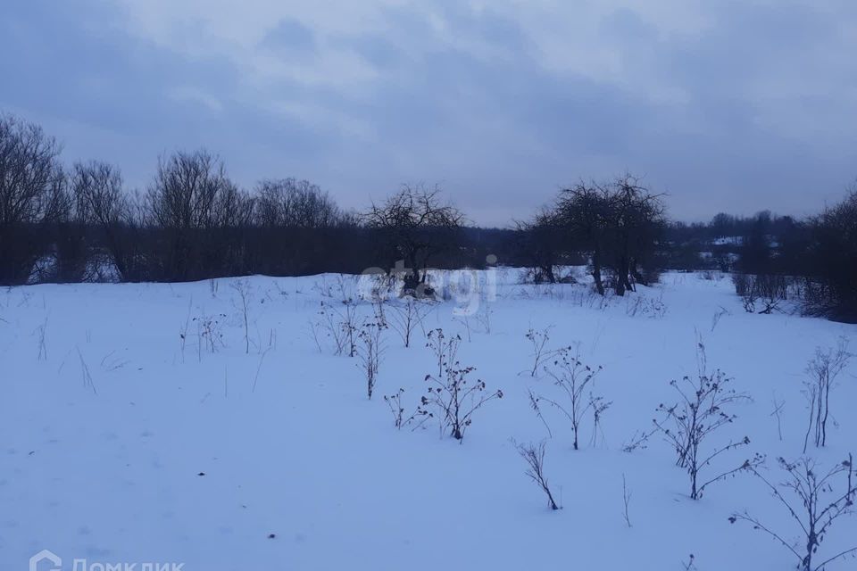 земля р-н Островский д Городище ул Советская 20 фото 4