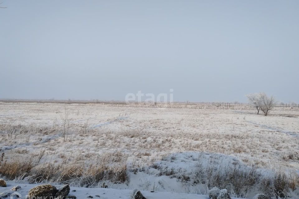 земля р-н Алтайский деревня Кайбалы фото 5