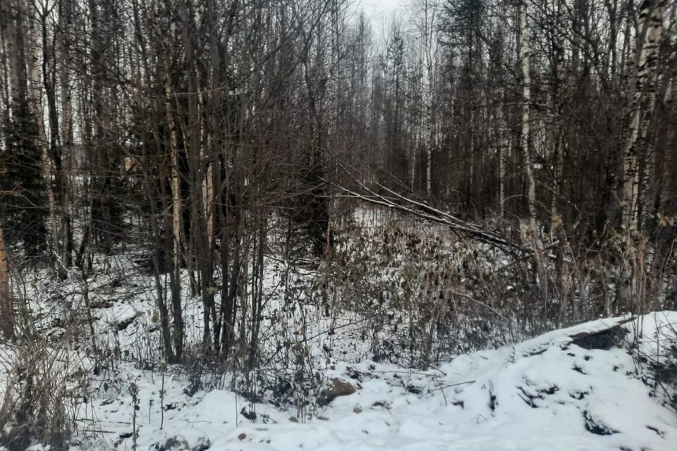 земля г Сыктывкар пгт Верхняя Максаковка ул Заозерная городской округ Сыктывкар фото 4