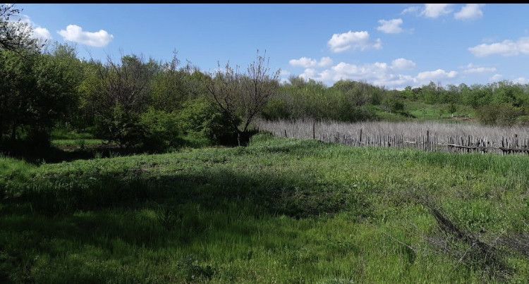 дом р-н Родионово-Несветайский сл Большекрепинская ул Октябрьская 97 фото 5