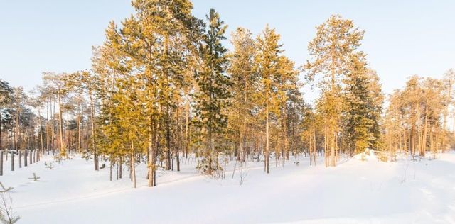 пос, Малинка ДНТ, ул. 5-я фото