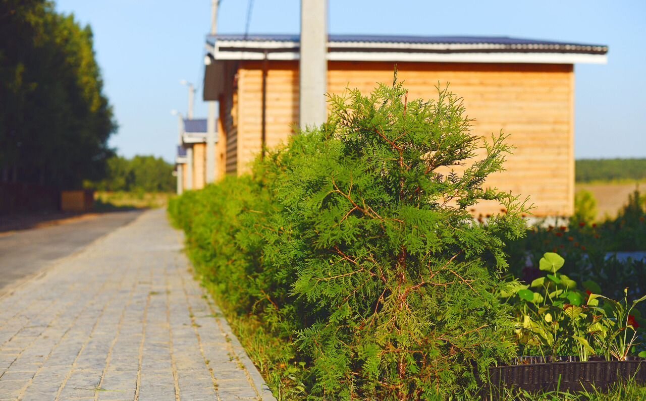 земля р-н Богородский г Богородск коттеджный пос. Владыкино фото 9