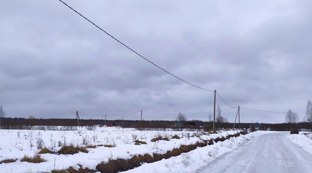 земля р-н Новгородский д Горынево Ермолинское с пос фото 4