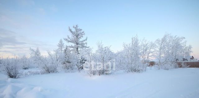 Простоквашино дачный кооператив, ул. 1-я Брусничная фото