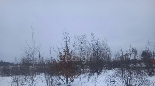 земля пос, Новоживотинновское с фото