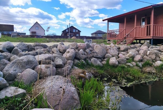 ул Родниковая Аннинское городское поселение фото