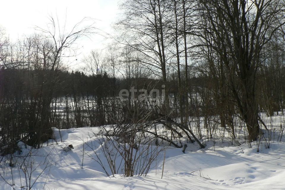 дом г Воронеж сдт Южный городской округ Воронеж, Цветная улица фото 4