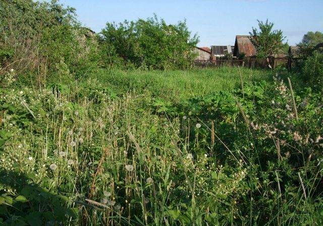 СДТ Птицевод, Чебоксары фото