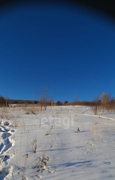 земля г Горно-Алтайск снт Бочкаревка фото 6