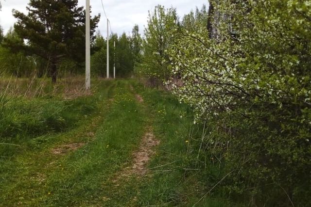 садовое товарищество Короли фото