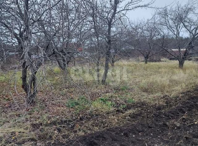 СНТ Надежда Озёрская сельская территория, квартал 1 фото