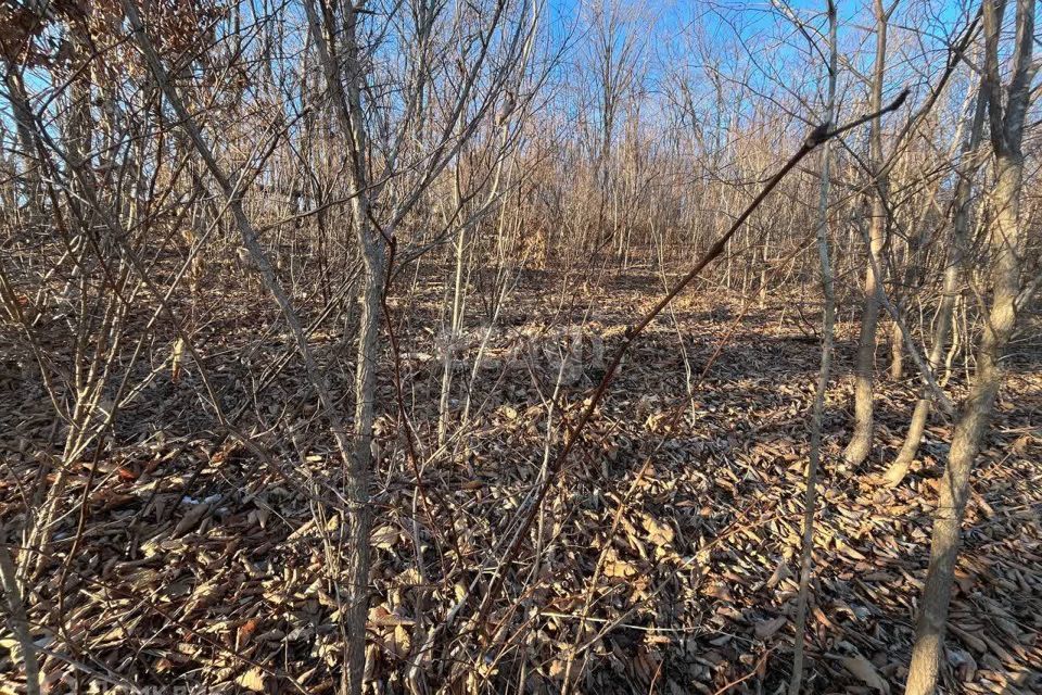 земля г Владивосток Владивостокский городской округ, садоводческое товарищество Пионер фото 4