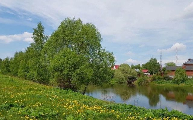 земля село Орловское фото