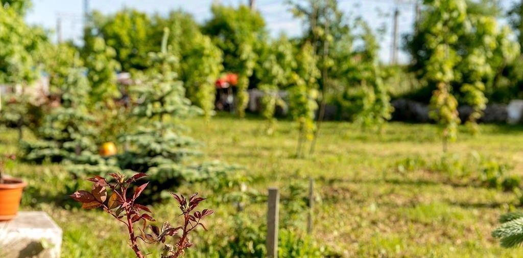 комната г Санкт-Петербург р-н Невский ул Сортировочная-Московская 15 фото 44