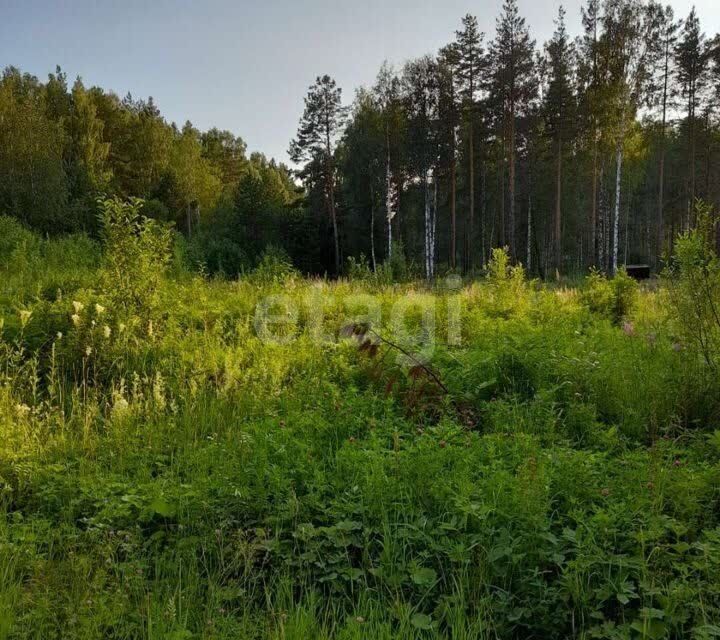 земля г Ревда снт тер.Простор городской округ Ревда, 39 фото 3