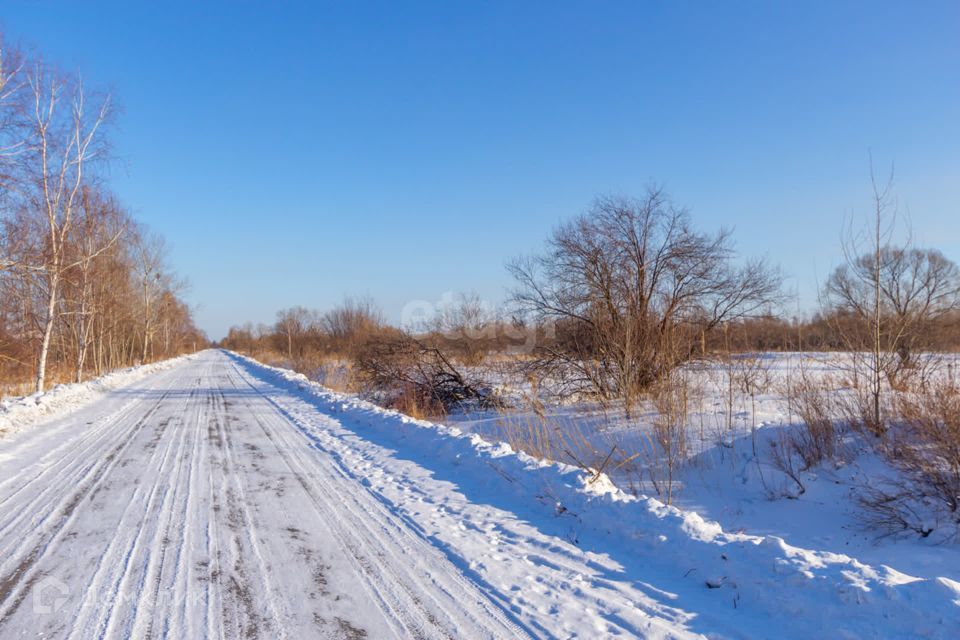 земля г Хабаровск ш Матвеевское городской округ Хабаровск фото 4