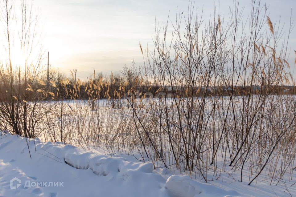 земля г Хабаровск ш Матвеевское городской округ Хабаровск фото 2