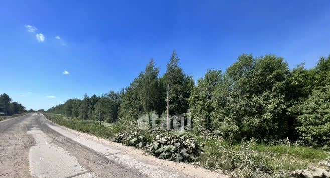 земля р-н Череповецкий с Ильинское Югское муниципальное образование фото 1