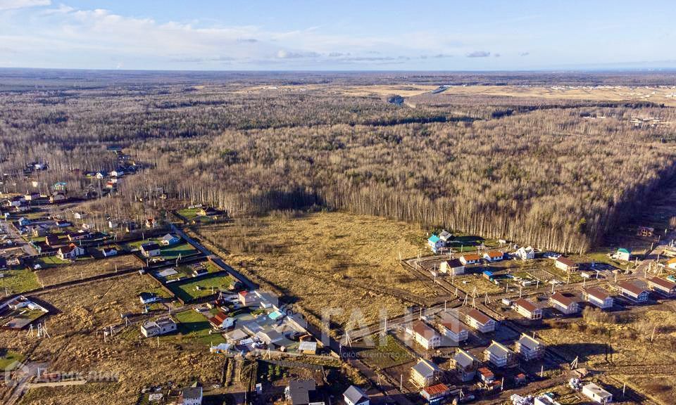 земля р-н Ломоносовский деревня Узигонты фото 1