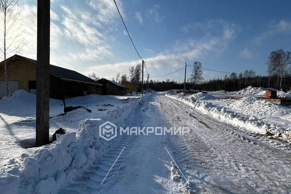 земля р-н Новосибирский Станционный сельсовет фото 4