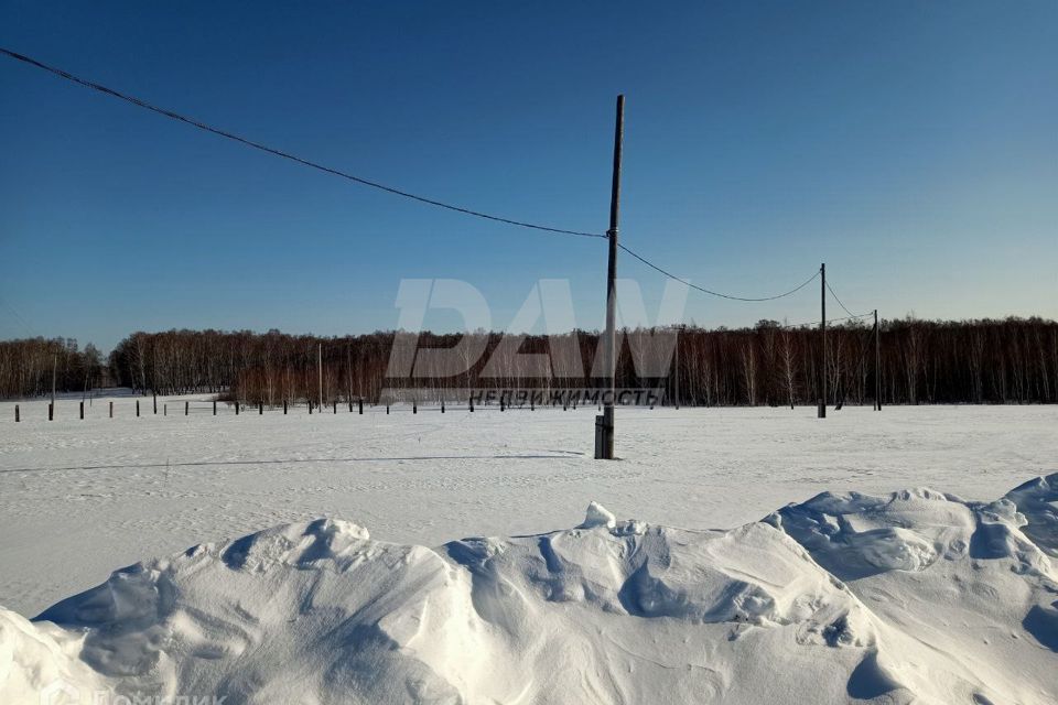 земля р-н Сосновский д Осиновка ул Дальняя фото 4