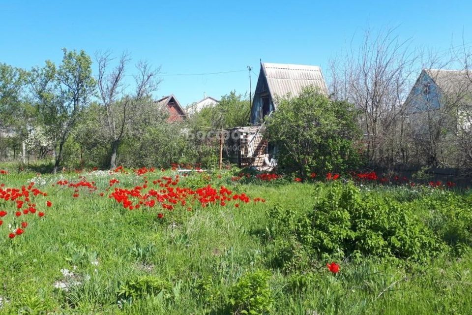 земля г Феодосия городской округ Феодосия, СПК Восход фото 1