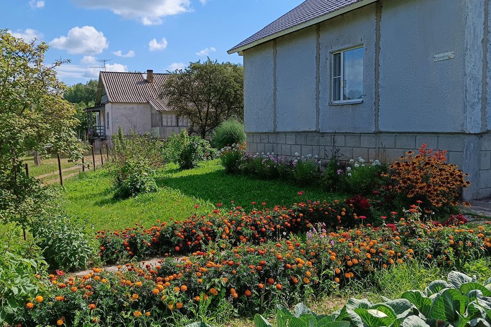 дом р-н Струго-Красненский п Струги Красные ул Владимирская фото 6