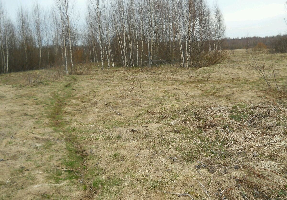 земля р-н Рыбинский г Рыбинск Центральный ул Герцена мкр-н фото 2